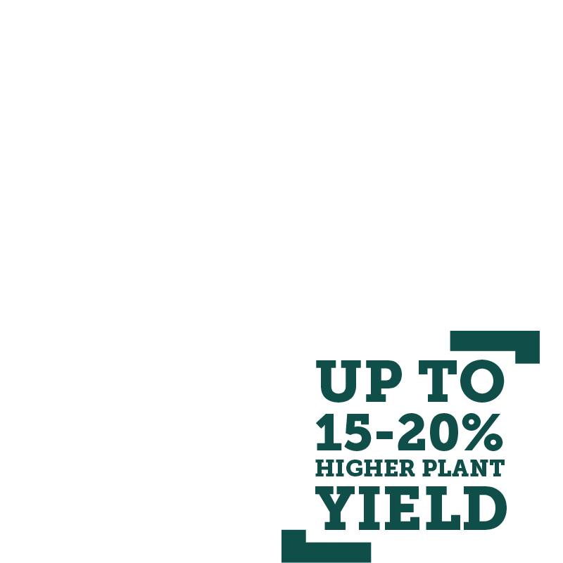 up-to-15-20%-higher-yield.png
