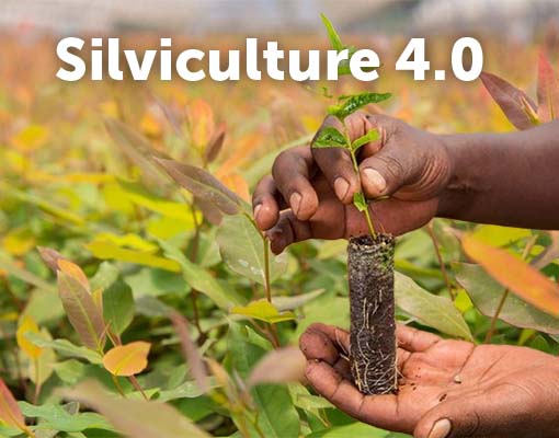 510X400 Ellepot Silviculture Smart Technology From Nursery To Field South Africa.