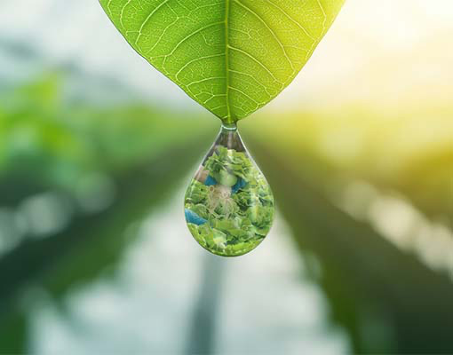 Ellepot Enviroment ESG