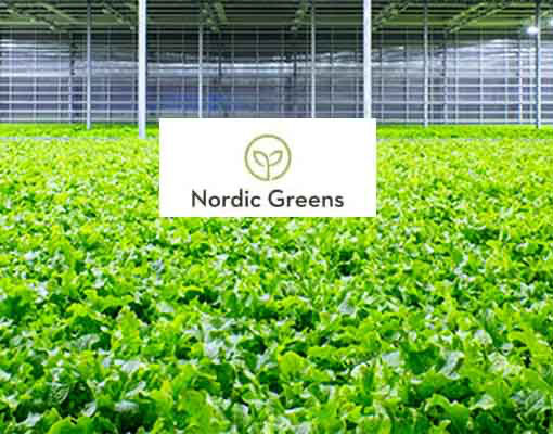 Nordic Greens indoor farming system with Ellepot