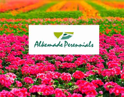 Ellepot Client Gebr. Alkemade B.V