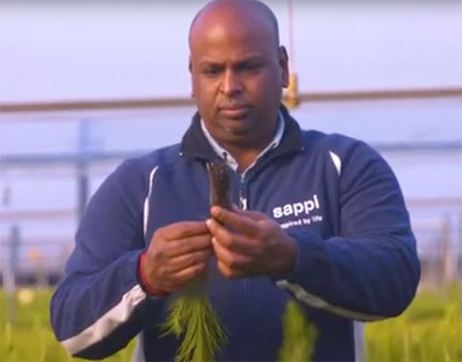 Ellepot South Africa Customer Sappi Explains The Value Of The Ellepot System In Their Operations