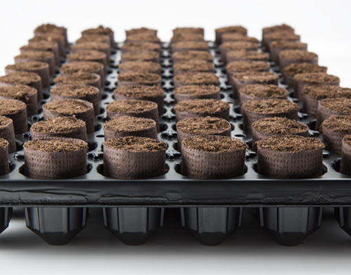 Ellepot propagation tray Ø40 Ellepots in Universal paper_ES40060-DA